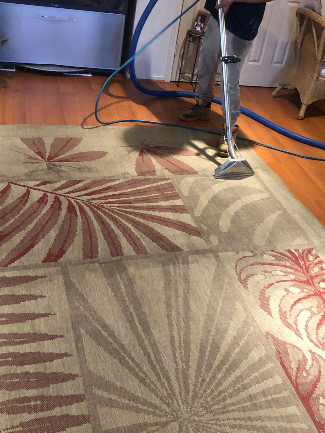 Dolphin Rug Care