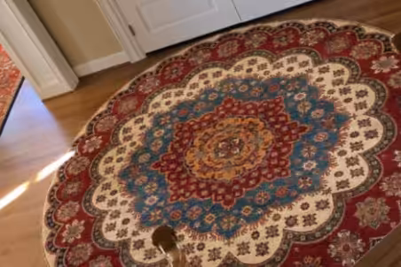 Dolphin Rug Care